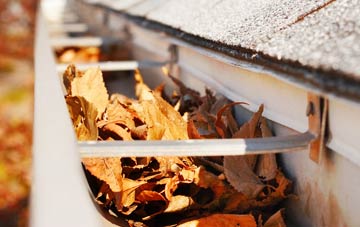 Camer gutter cleaning companies