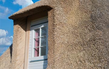 Camer thatch roof disadvantages